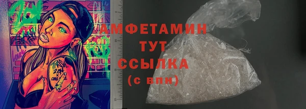 ПСИЛОЦИБИНОВЫЕ ГРИБЫ Вязники
