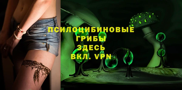 ПСИЛОЦИБИНОВЫЕ ГРИБЫ Вязники