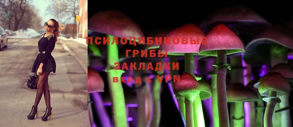 гашик Вяземский