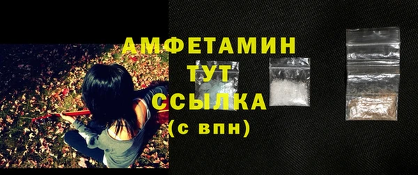 ПСИЛОЦИБИНОВЫЕ ГРИБЫ Вязники