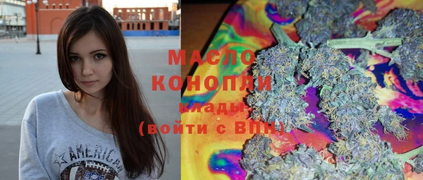 гашик Вяземский