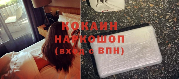 гашик Вяземский