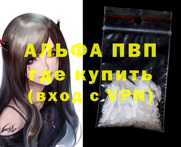 гашик Вяземский
