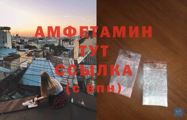 PSILOCYBIN Гусев
