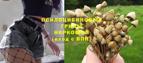 альфа пвп Ачинск
