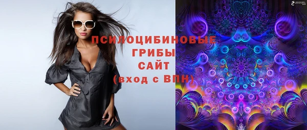 ПСИЛОЦИБИНОВЫЕ ГРИБЫ Вязники