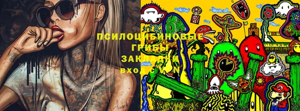 гашик Вяземский